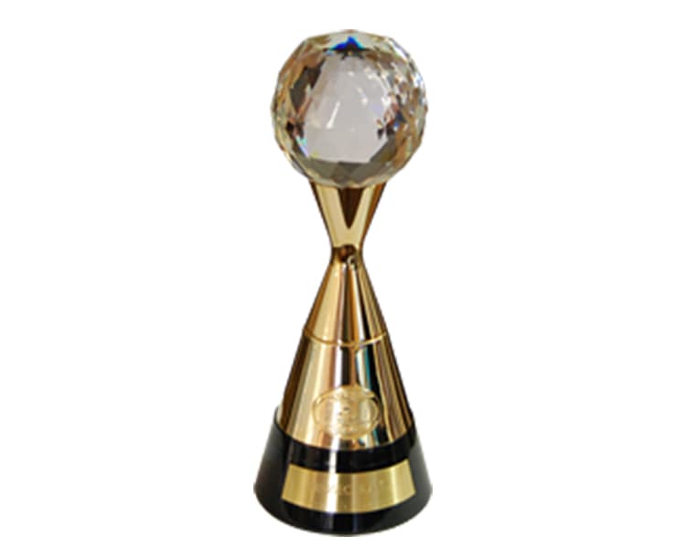 International Star for Leadership in Quality Award